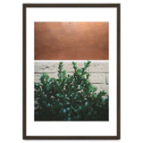 Plant + Copper thumbnail
