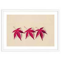 Dancing Leaves