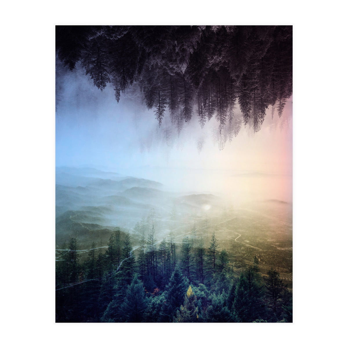 Magic Woods (Print Only)