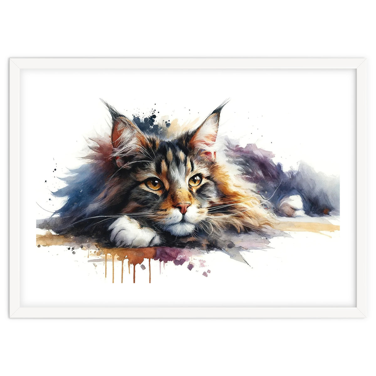 Maine Coon Resting Portrait