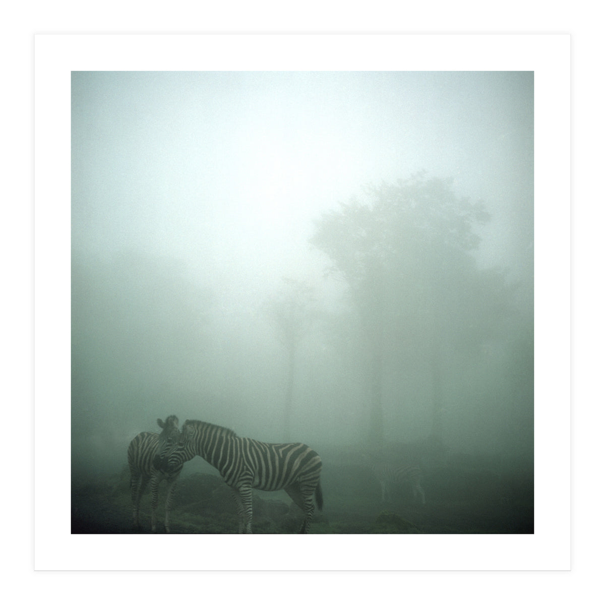 Silence of breath - 15 (Print Only)