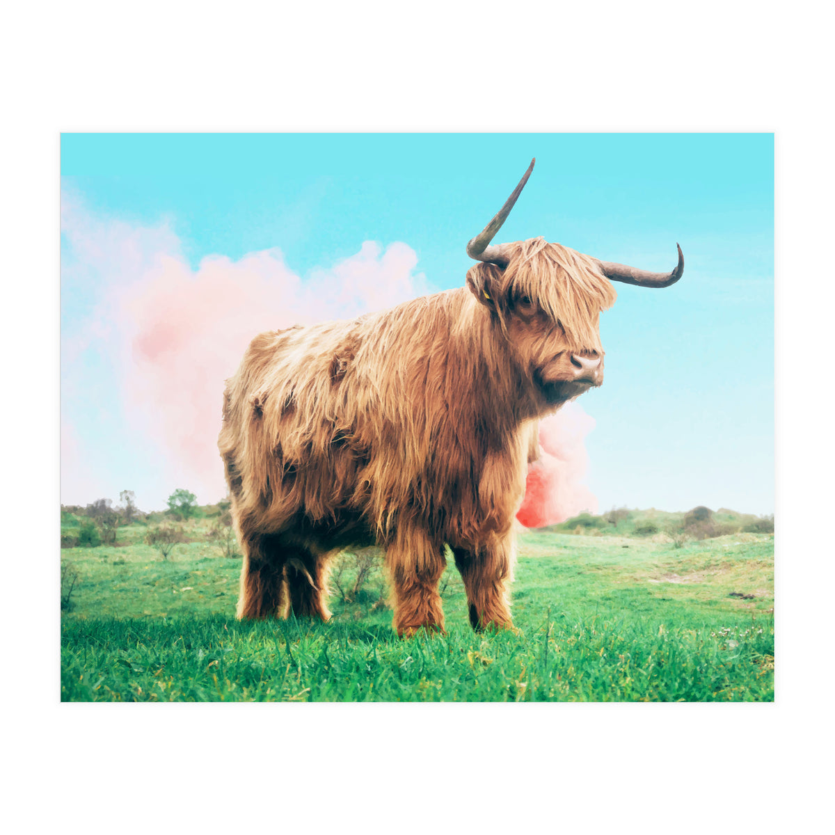 Highland Cow #society6 #decor #buyart (Print Only)