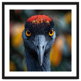 Close Up Of A Strikingly Beautiful Bird Face thumbnail
