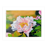 peony (Print Only) thumbnail