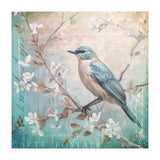 Bird Vintage Nostalgia II (Print Only) thumbnail