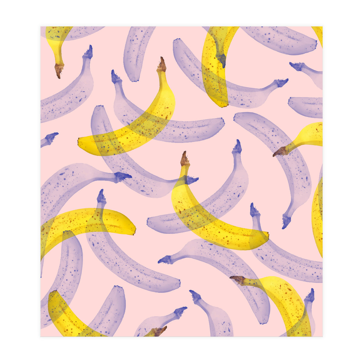 Banana Under Scrutiny (Print Only)