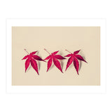 Dancing Leaves (Print Only) thumbnail