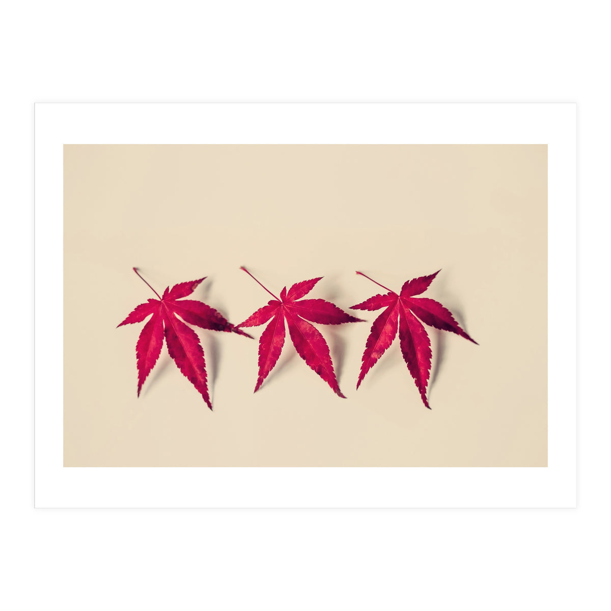 Dancing Leaves (Print Only)