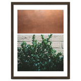 Plant + Copper thumbnail