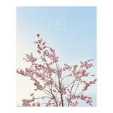 Sakura - cherry blossom (Print Only) thumbnail