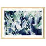 Cactus Garden thumbnail