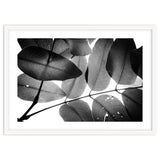 Branches and Leaves, 2016, 3 thumbnail