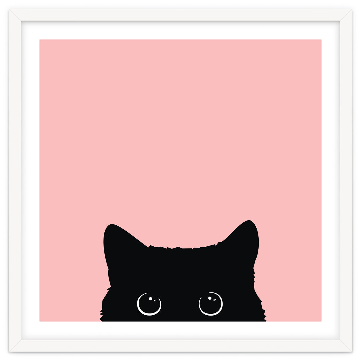 Black cat