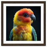 Vibrant Sun Conure Parrot Close Up Portrait thumbnail