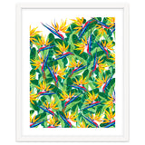 Summer Strelitzia thumbnail