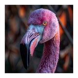 Close Up Of A Pink Flamingo Bird Face (Print Only) thumbnail