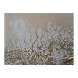 Lifted (Print Only) thumbnail