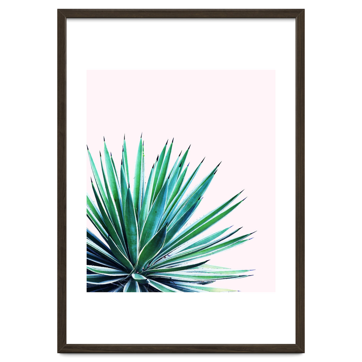 Agave Love #society6 #decor #buyart