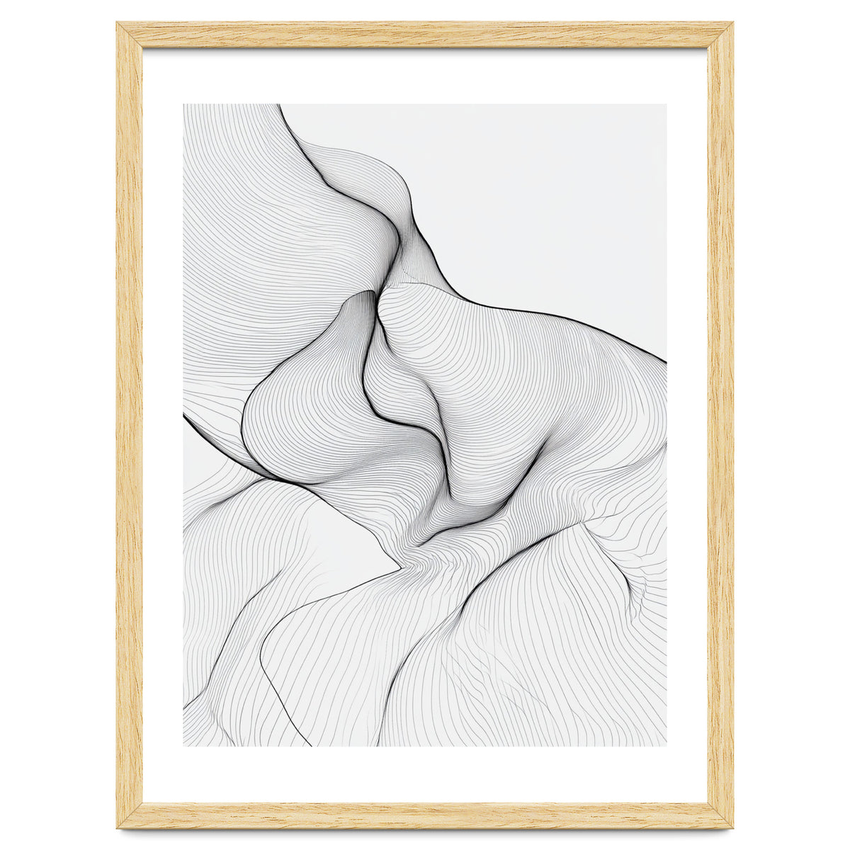 Abstract Black And White Flowing Lines Organic Form