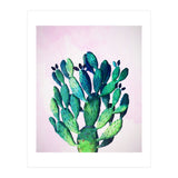 Cactus Three Ways (Print Only) thumbnail