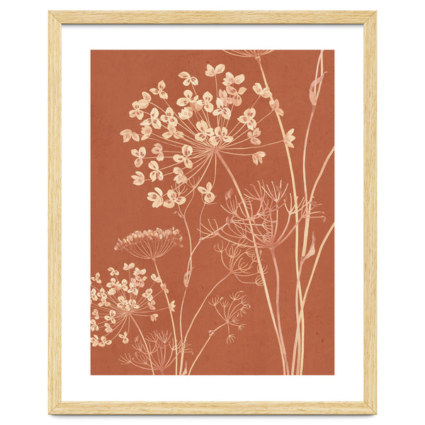 Wildflowers II