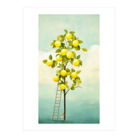 Lemon Tree  (Print Only)