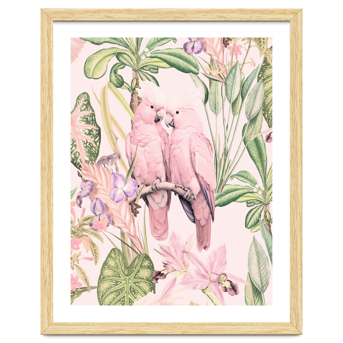 Pink Cockatoos in Love