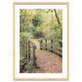 Path To The Bridge thumbnail