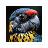Close-up Portrait of a Vibrant Parrot (Print Only) thumbnail