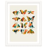 Colorful Butterflies thumbnail