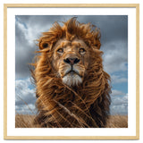 Majestic Lion Portrait Windblown Mane Outdoors thumbnail