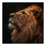 Majestic Lion Portrait Profile Majestic Beast (Print Only) thumbnail