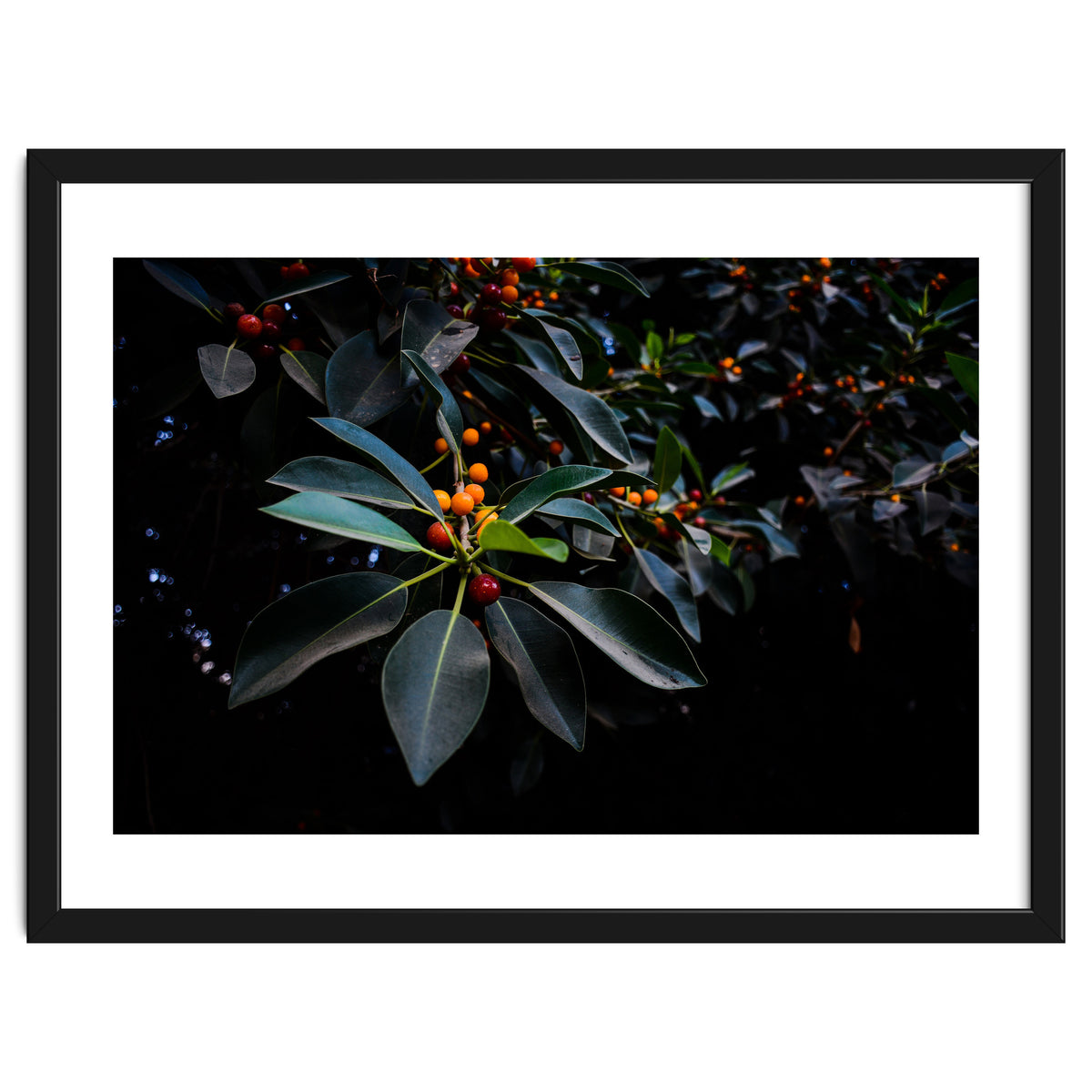 Orange, Green and Dark