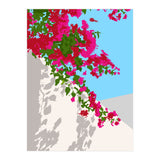 Bougainvillea Blossom, Greece Tropical Summer Travel, Santorini Architecture White Buildings Floral Nature Garden (Print Only) thumbnail