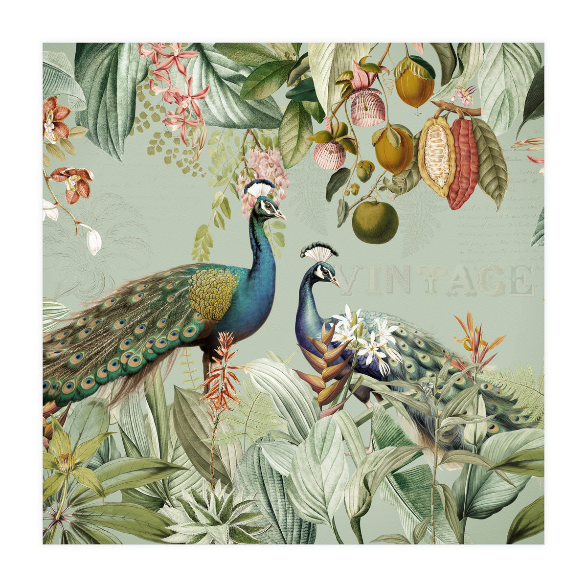 Vintage Exotic Asian Peacocks In Tropical Jungle Landscape (Print Only)