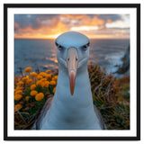 Albatross Bird With Intense Gaze By The Sea thumbnail