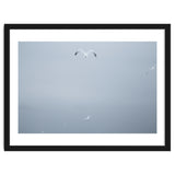 A flying seagull in the winter sky thumbnail