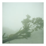Silence of breath - 07 (Print Only) thumbnail