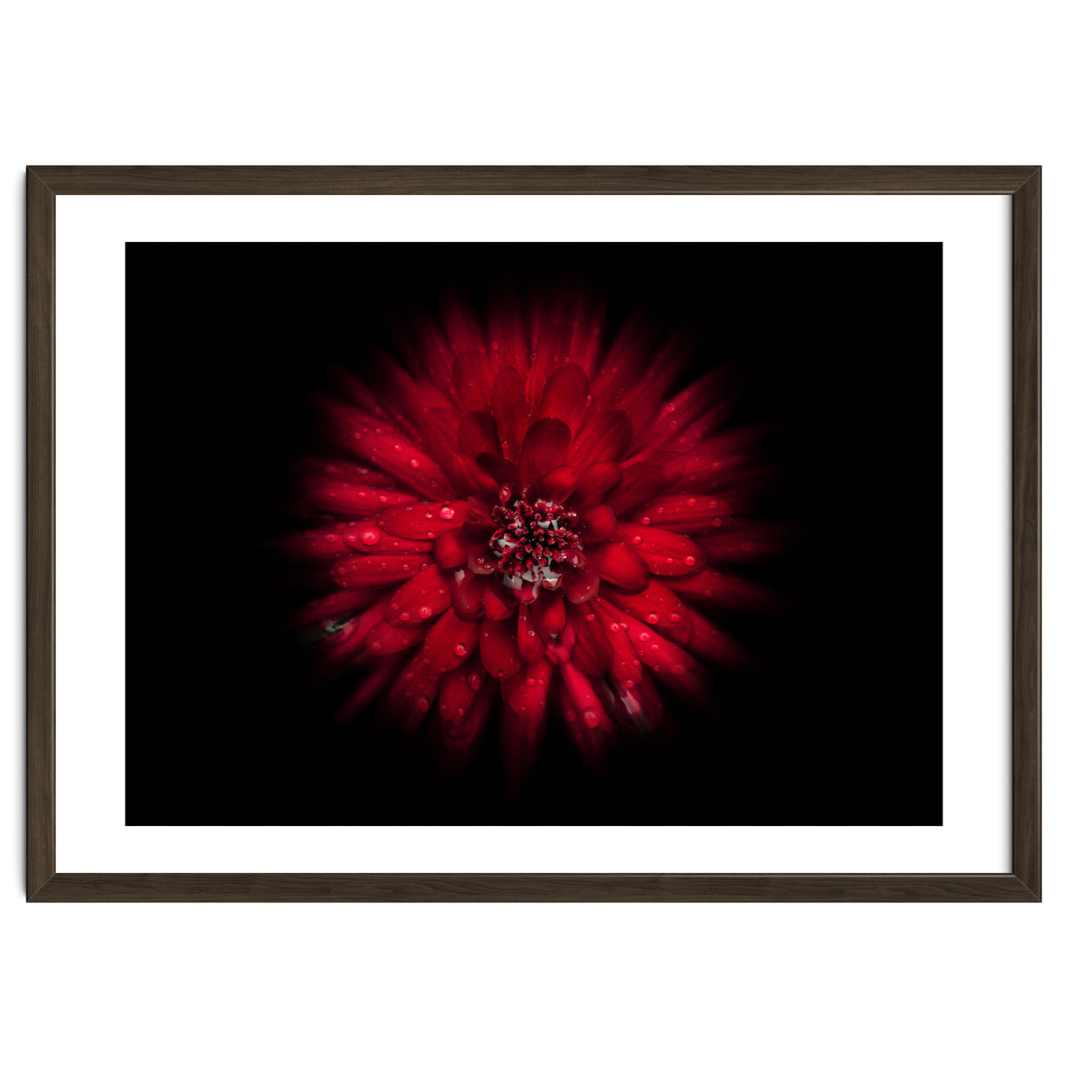 Backyard Flowers No 45 Color Flow Version