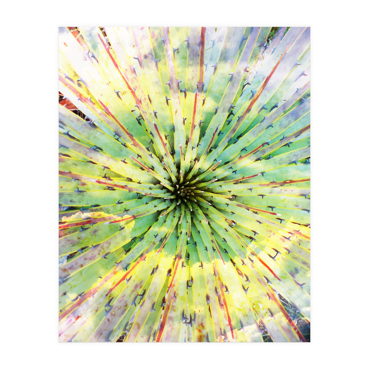 Bitter Sweet (Print Only)