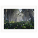 Art In The Forest thumbnail