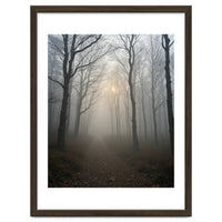 Ethereal Morning Light Breaking Through Dense Forest Fog