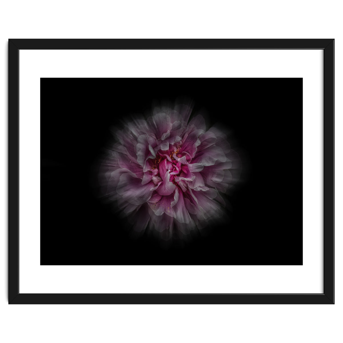 Backyard Flowers No 116 Color Flow Version