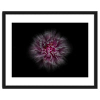 Backyard Flowers No 116 Color Flow Version