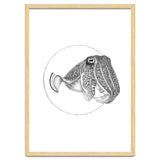 The Fascinating Cuttlefish thumbnail