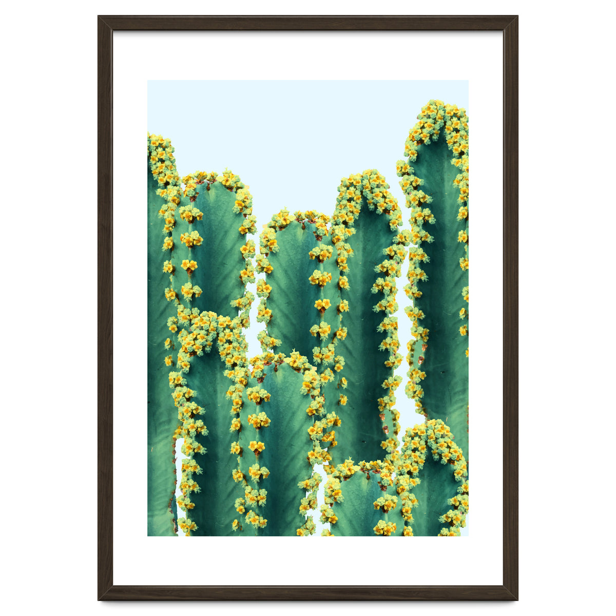 Adorned Cactus #society6 #artprints #buyart