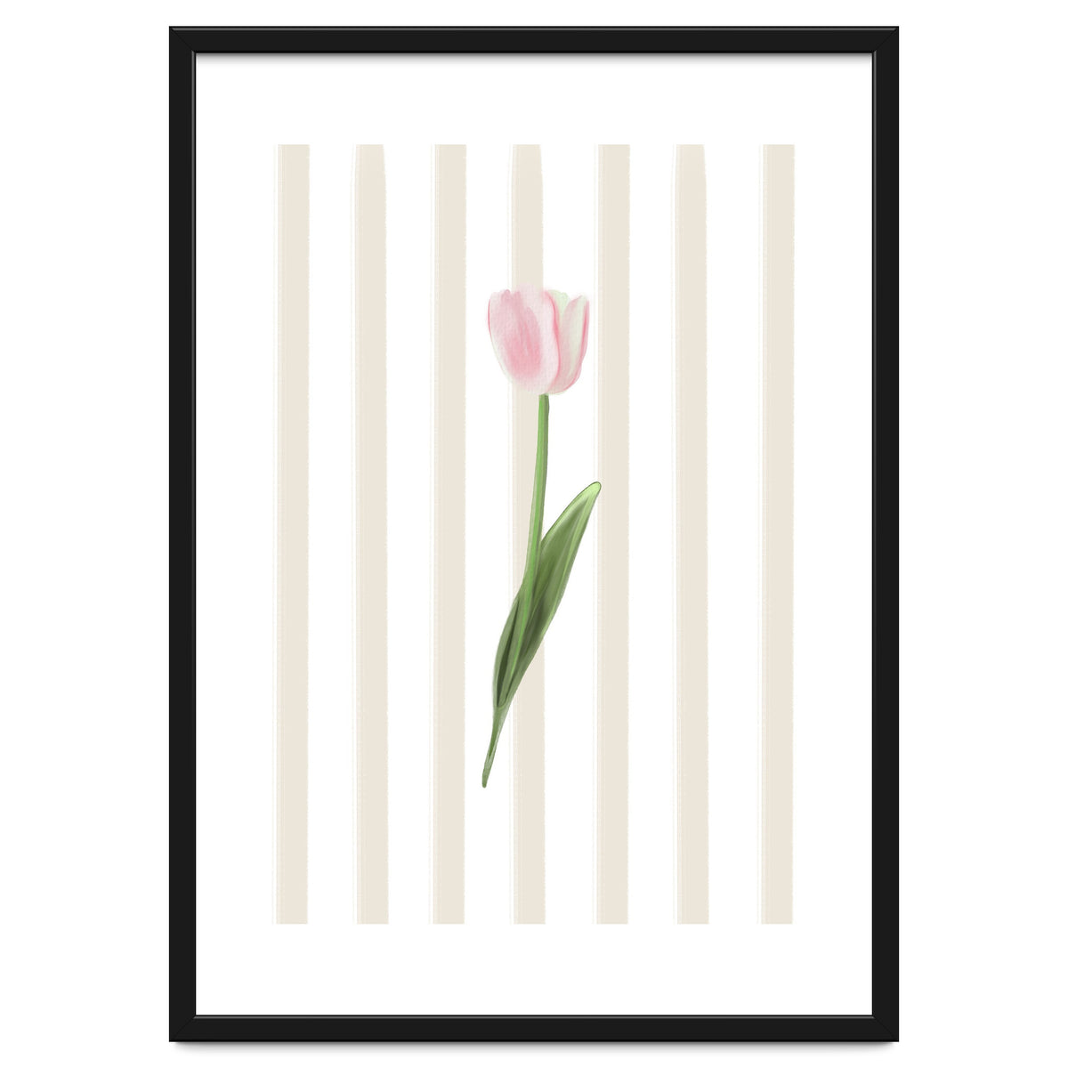 Single Tulip