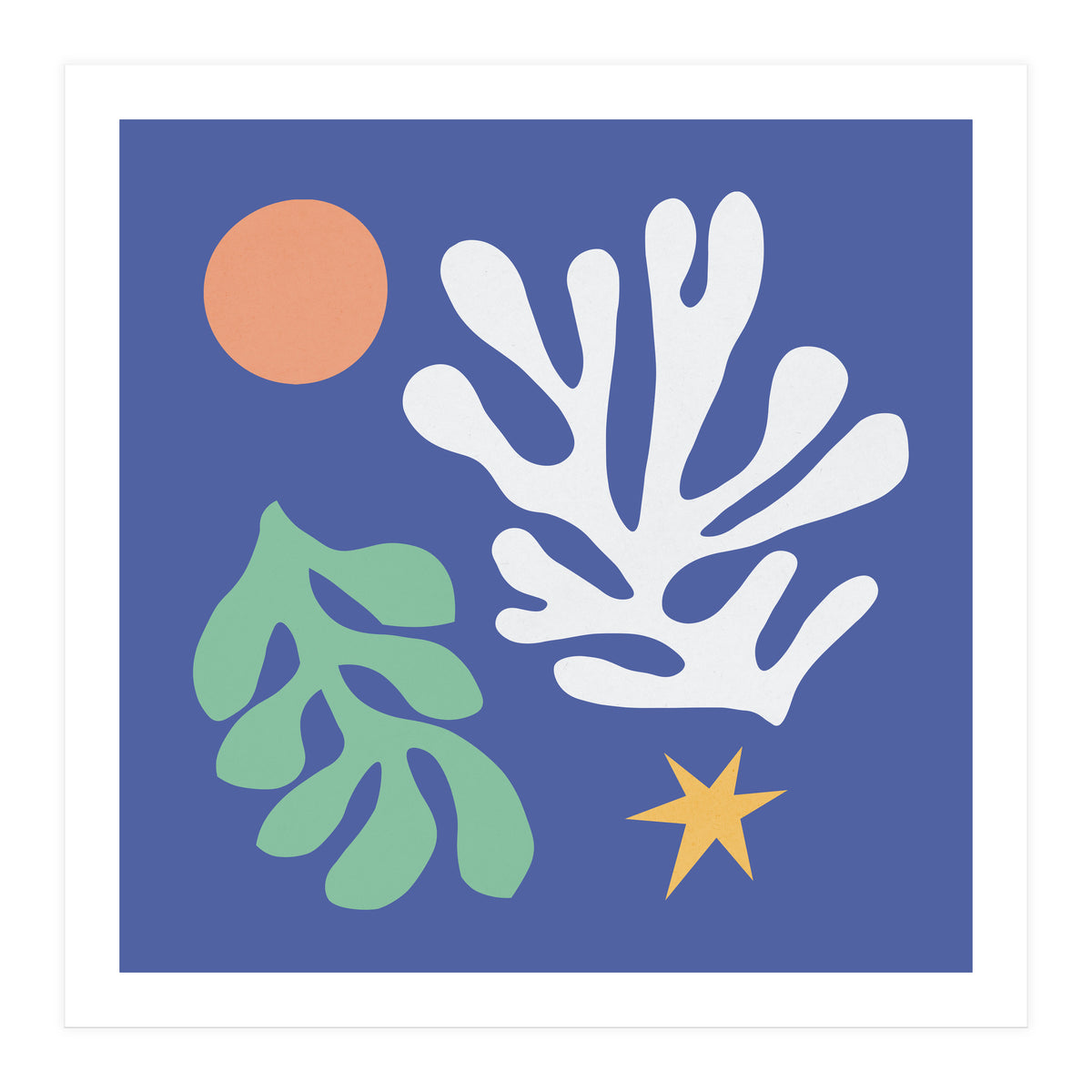 Floral matisse 2 (Print Only)