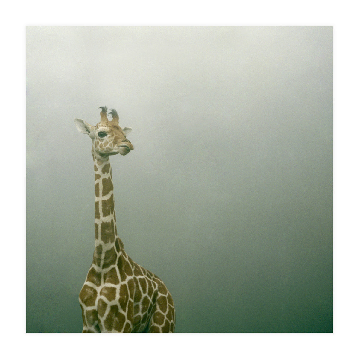 Silence of breath - 08 (Print Only)