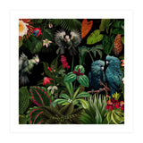 Moody Botanical Midnight Jungle Birds (Print Only) thumbnail